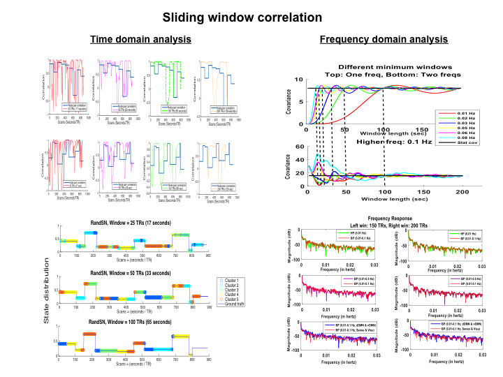 Main focus during my PhD was on understanding and modeling the dynamics of functional connectivity (FC) networks using resting state functional MRI (fMRI) scans. We evaluated the performance of most commonly used dynamic FC analysis method of sliding window correlation (SWC) and discovered its shortcomings. We also proposed a new algorithm to detect the change points of FC networks. In the future, I plan to work with TheVirtualBrain to explore the structure in task-based and resting-state functional connectivity networks. I plan to use multimodal data like EEG and MEG along with functional MRI for this purpose.