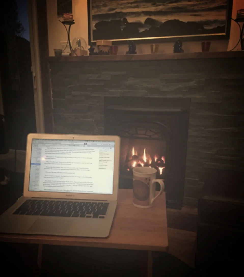 fireplace pic.jpg
