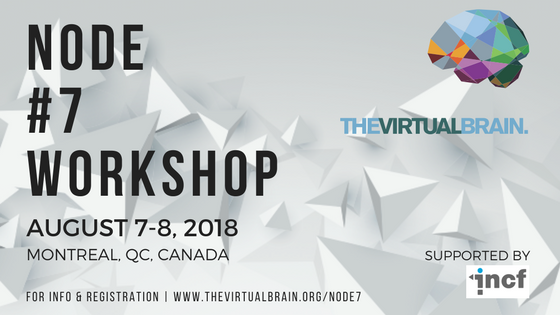 TVB Node #7 Workshop