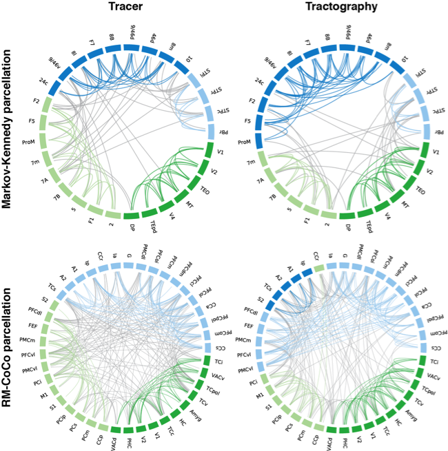 Not a bad correspondence between the partitioning of the tracer-based connectomes (left) and the DWI-based ones (right). Each module and their intra-modular connections are denoted by a different colour, with inter-modular connections in grey.