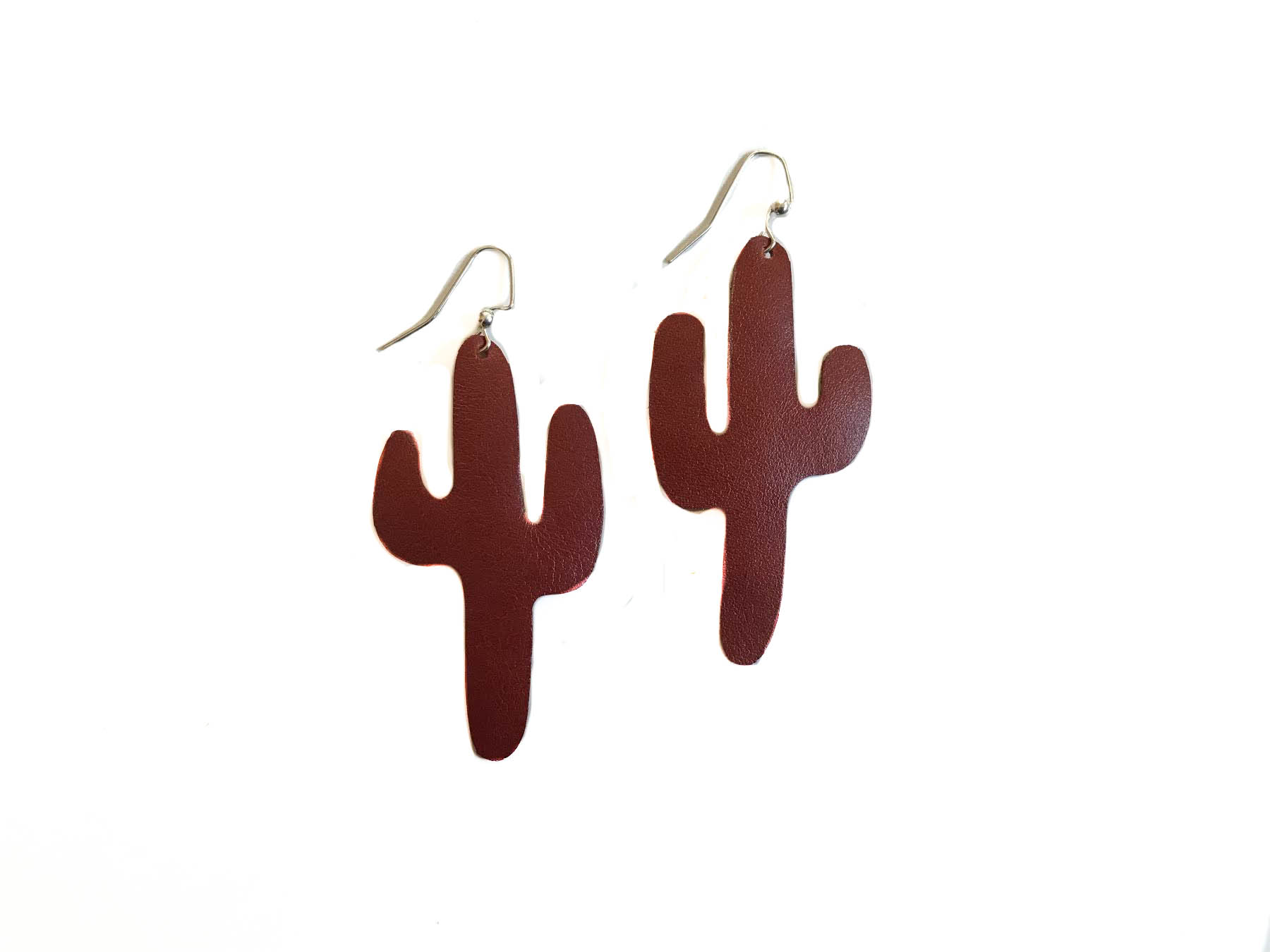 Cactus burnt red_.jpg