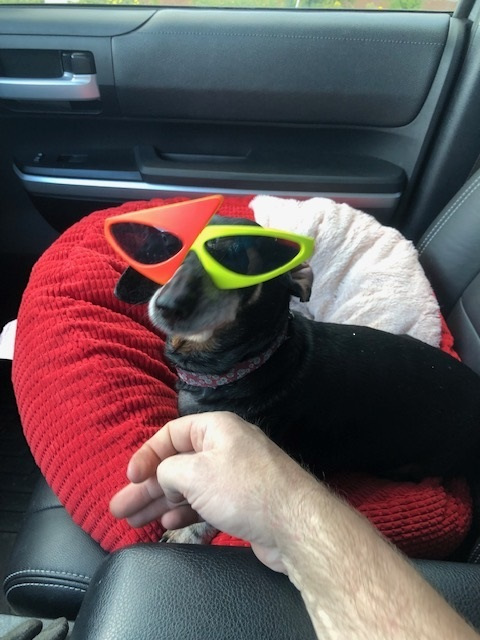 luci.jpg