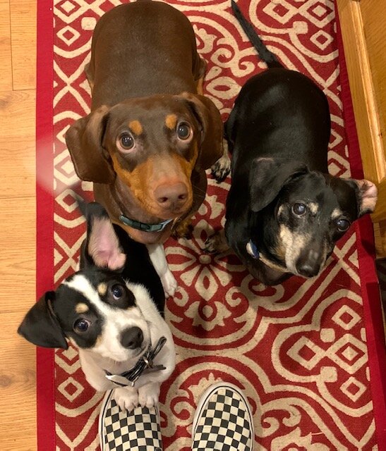 The babies!