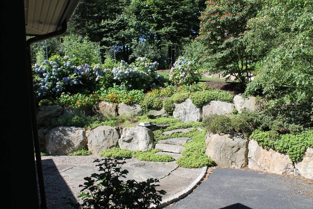 IMG_6814.jpg