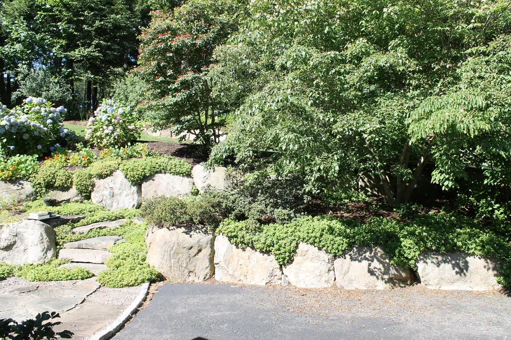 View From the Porch