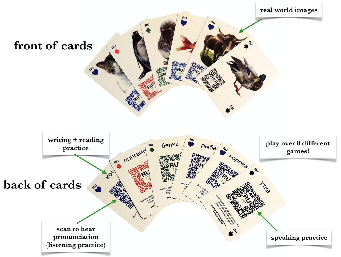 card design components.jpg