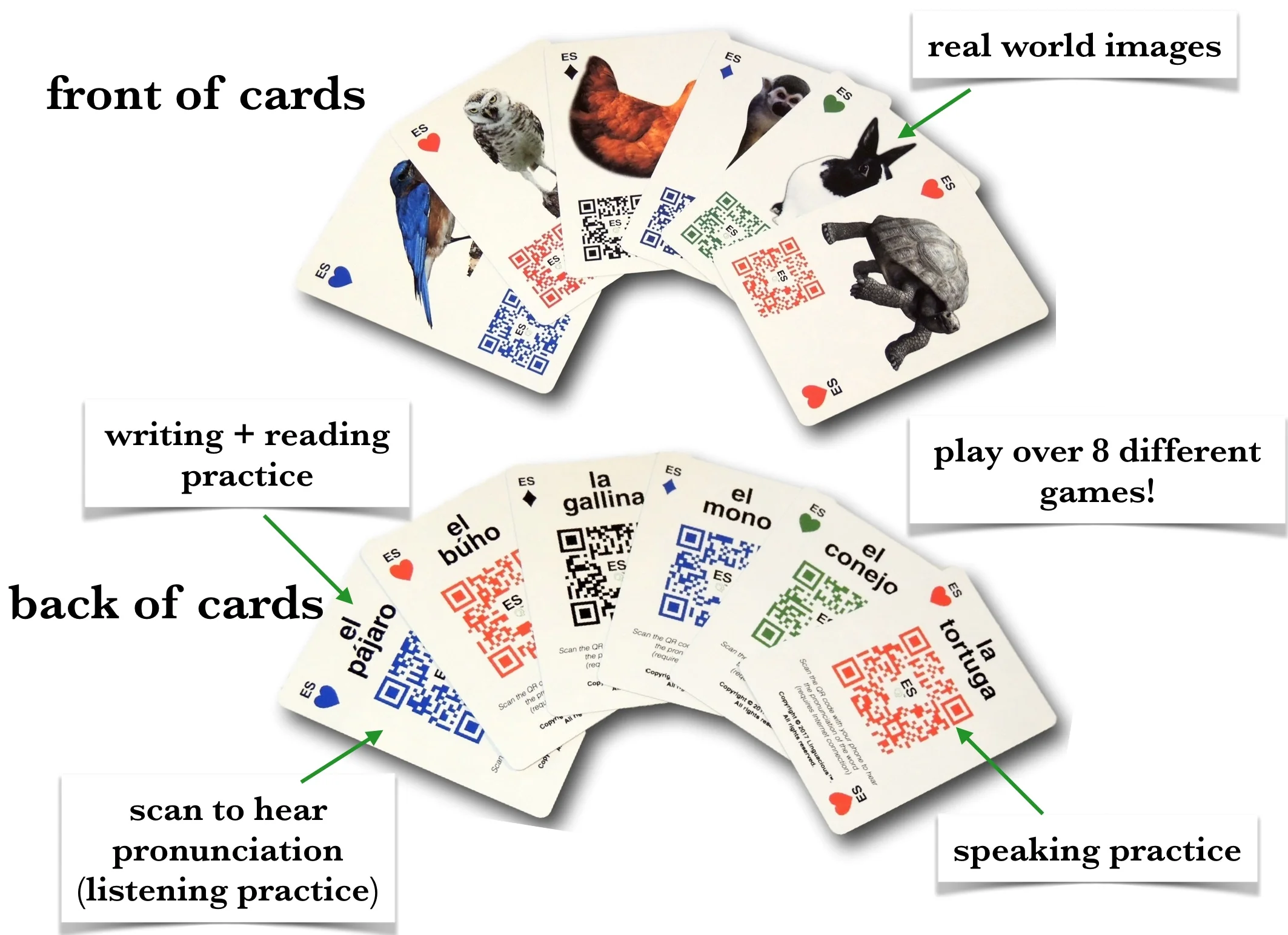 card design components.jpg