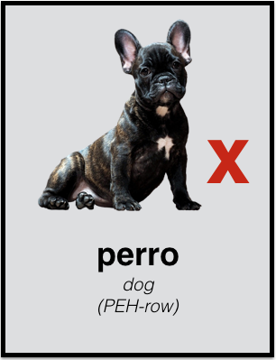 Photo: Example of a typical, poorly designed vocabulary flashcard.