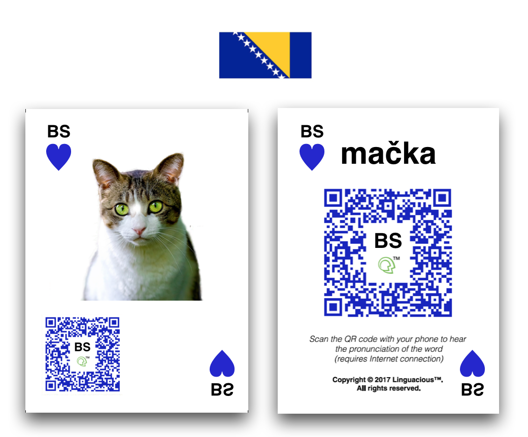 cat card design.jpg