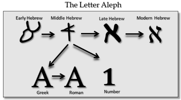 Figure 3: Evolution of the letter "aleph" in Hebrew. (photo source: http://www.ancient-hebrew.org/alphabet_evolution.html )