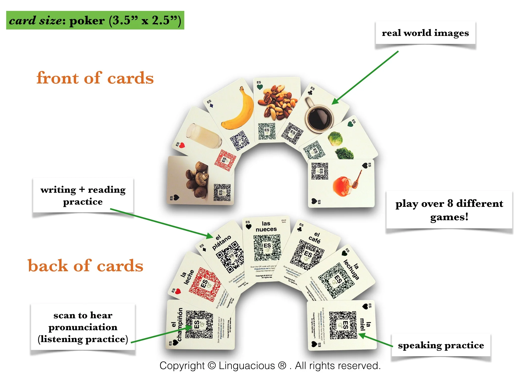 card design.jpg
