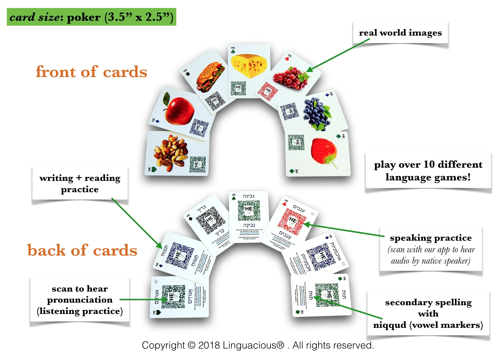 card design.jpg