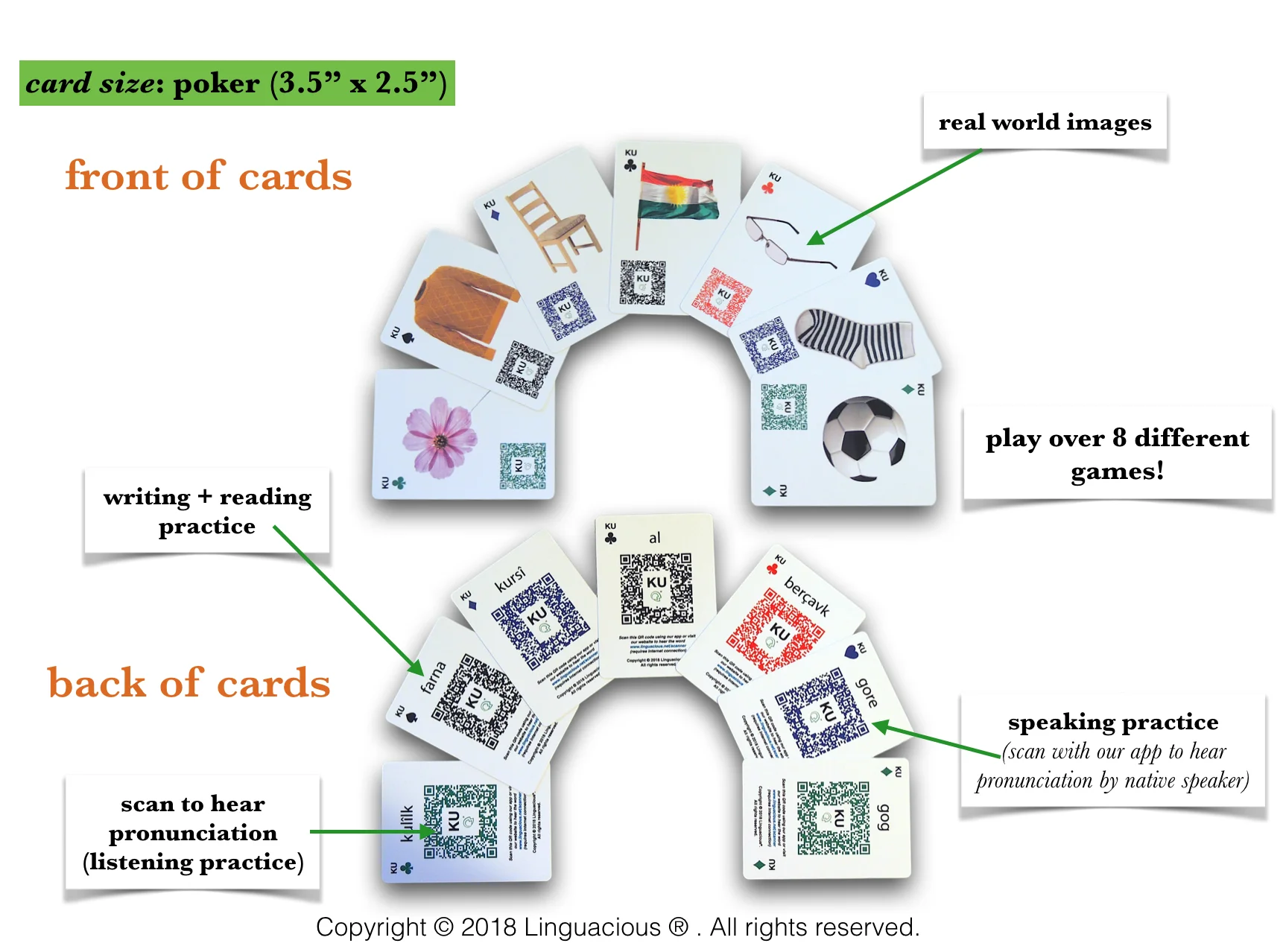card design.jpg