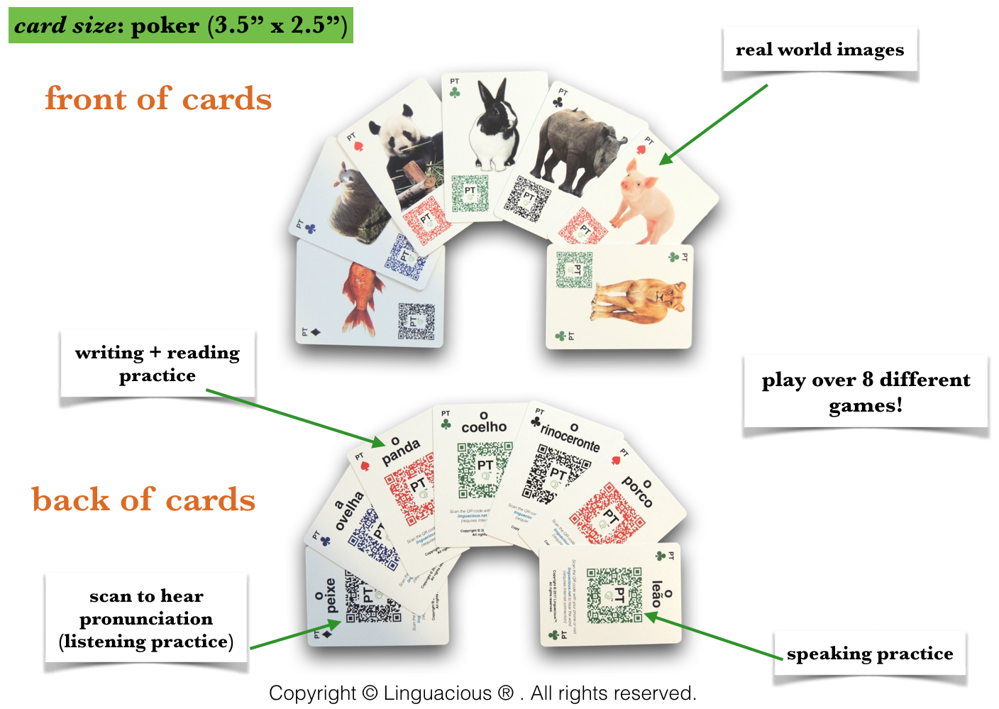 card design.jpg