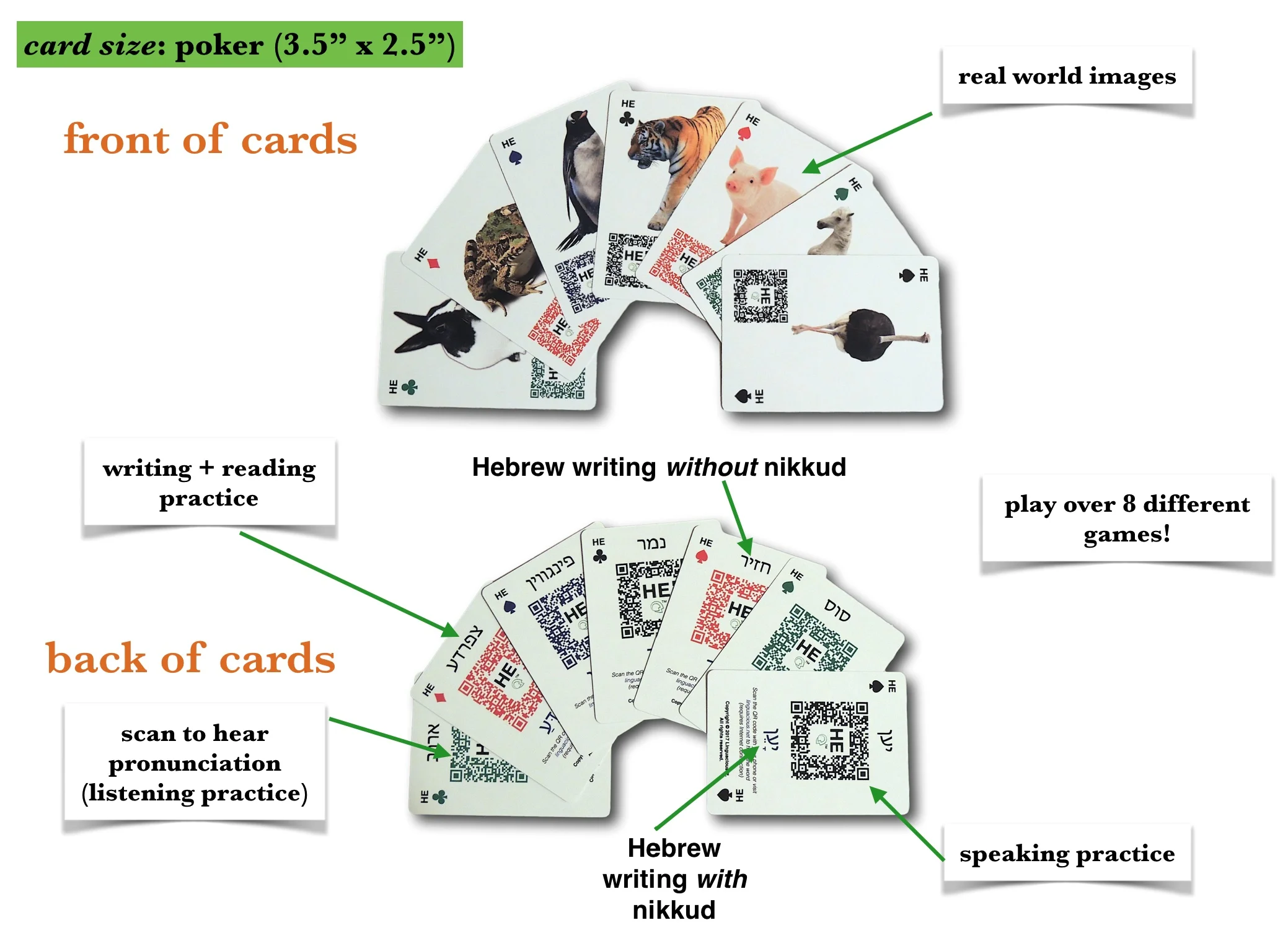 card design.jpg