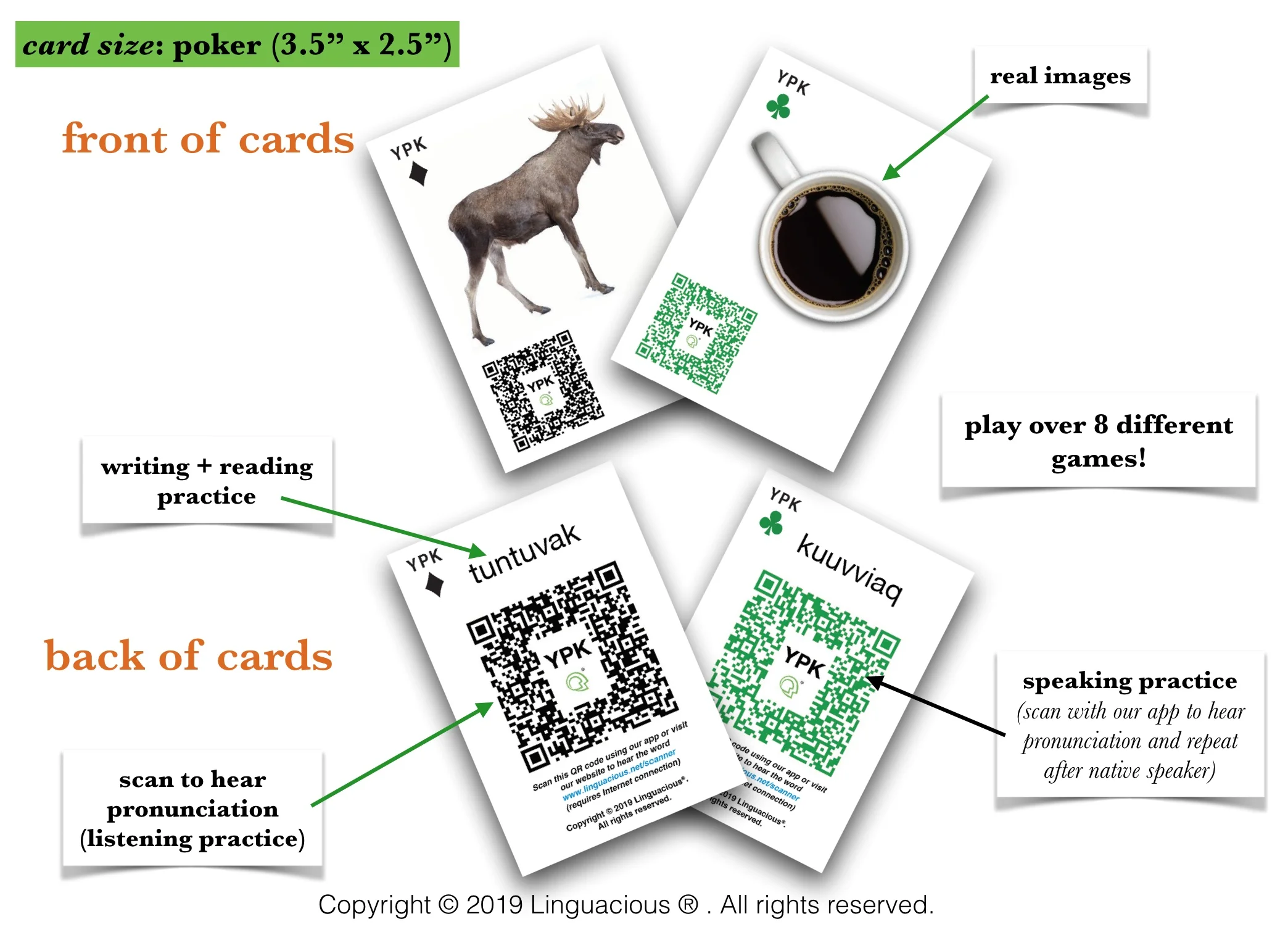 card design.jpg