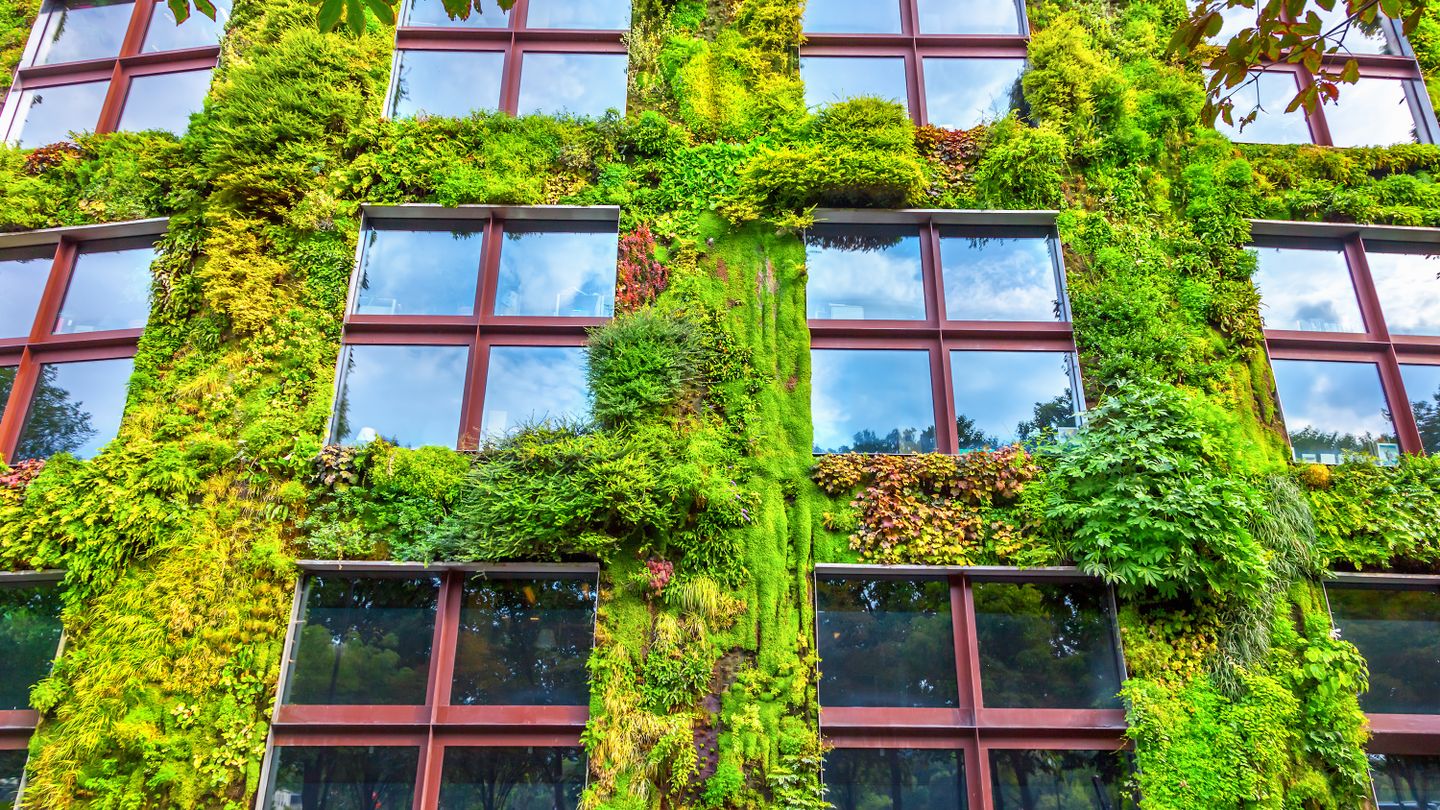 FOTO: Jen Petrie / Shutterstock / NTB scanpix