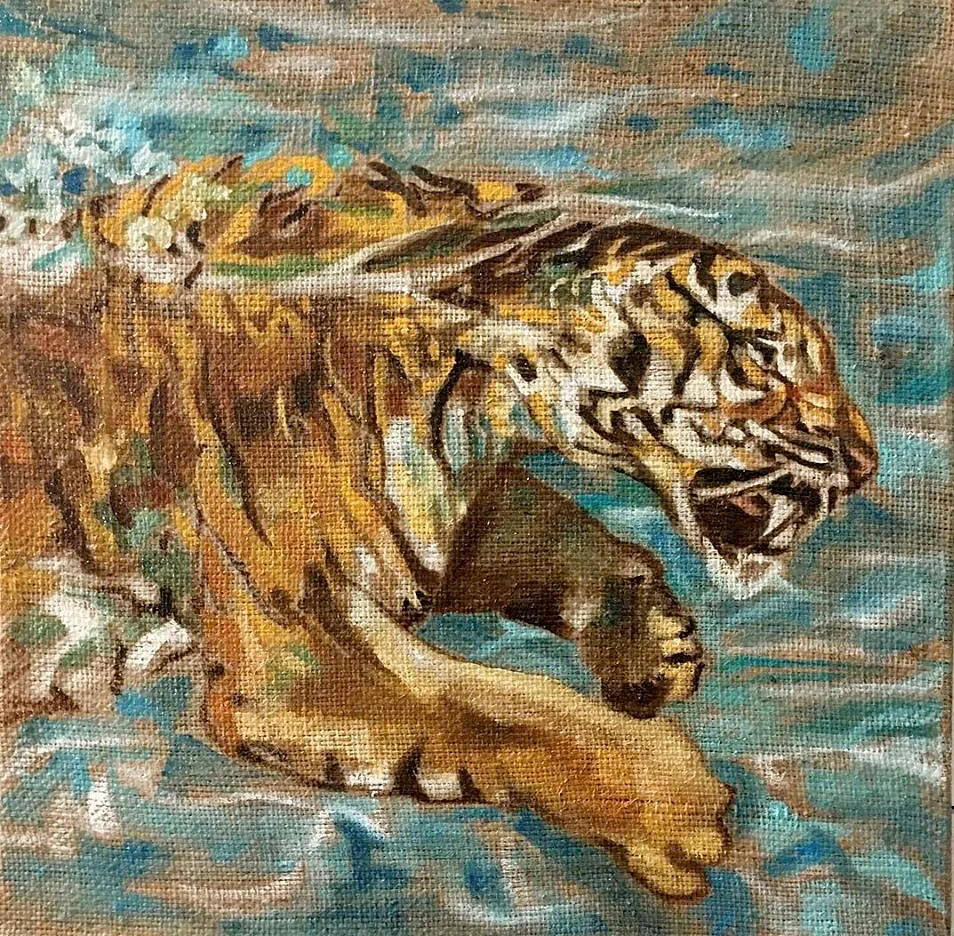 A Tiger, Swimming