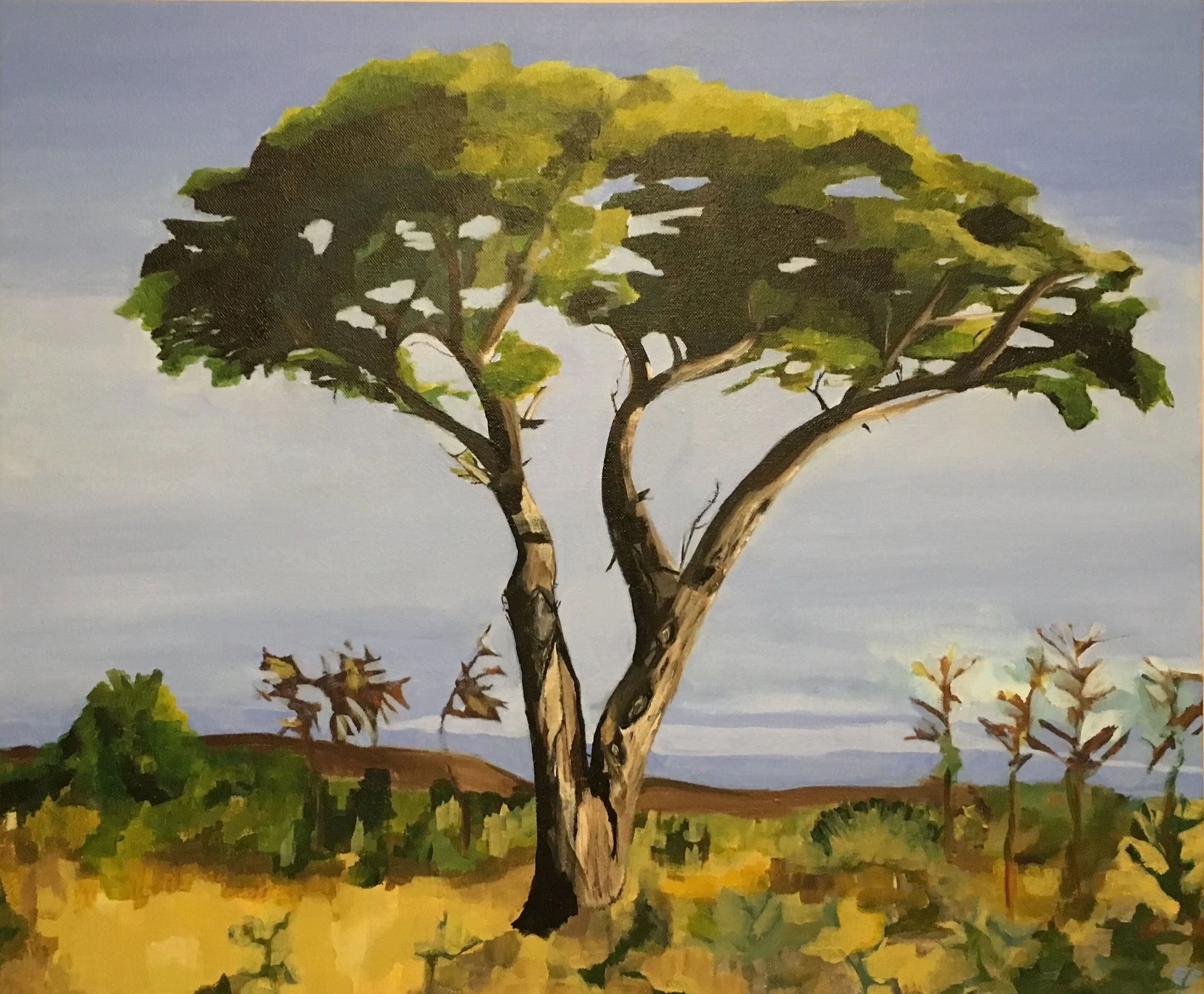 Marula