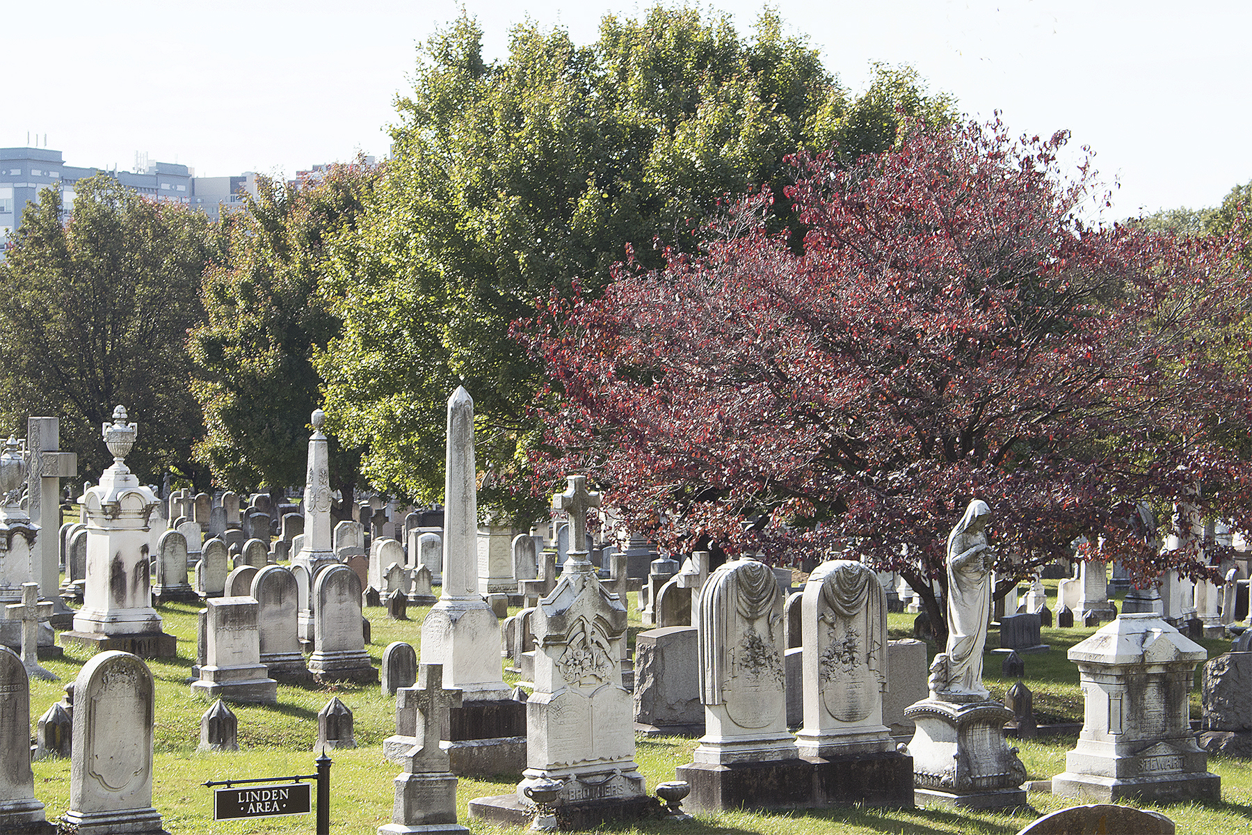 Greenmount view.jpg