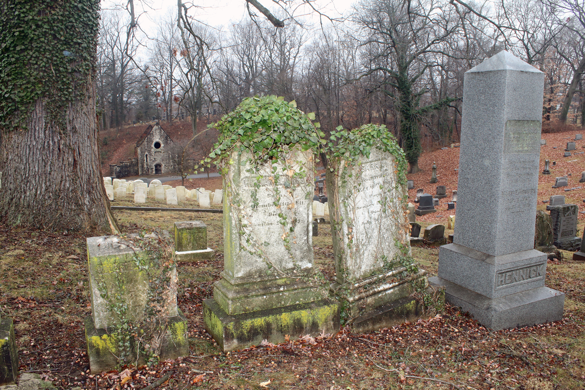 trio of ivy.jpg