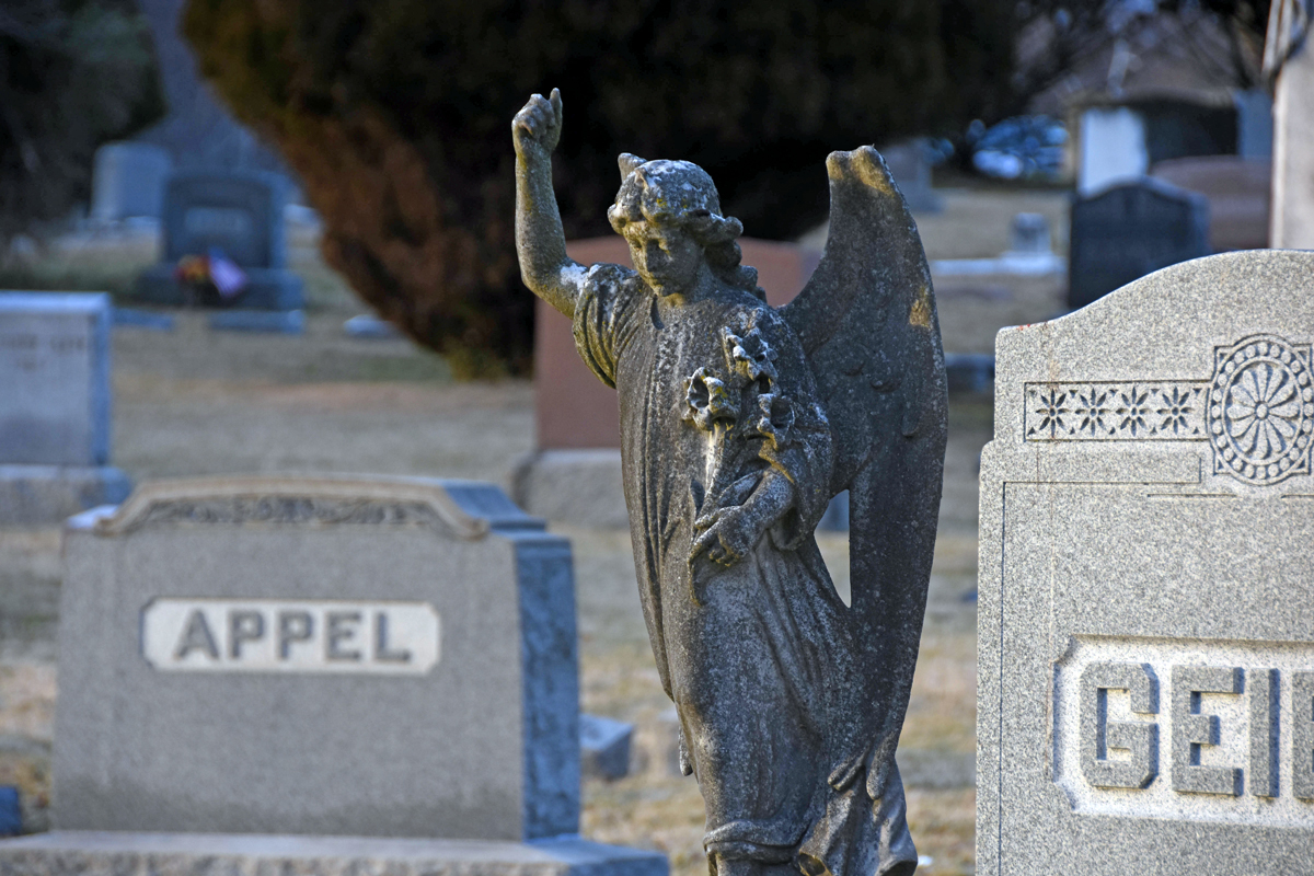 angel2.jpg