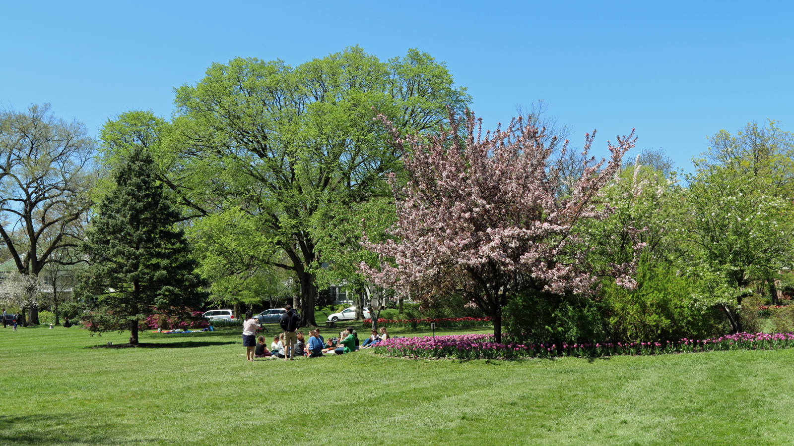 Far off view of a green lawn and people lounging at Sherwood Gardens in Baltimore