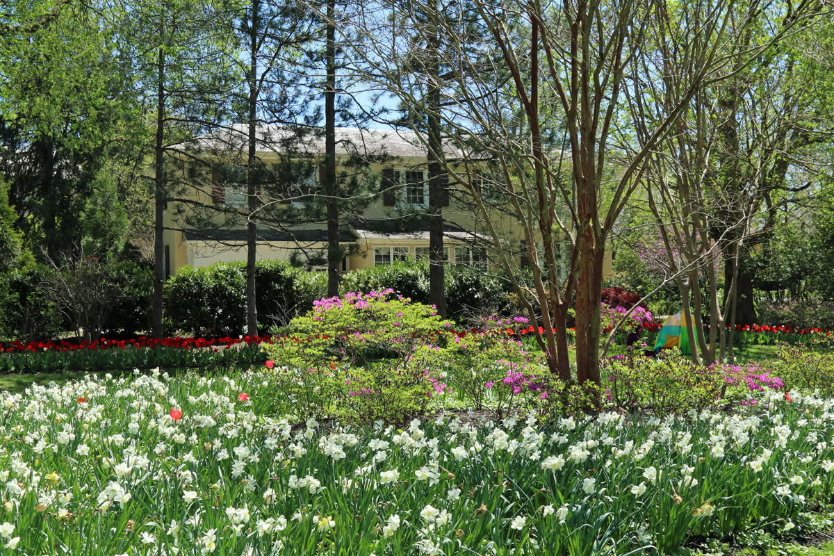 A view of John Sherwood's home through the trees at Sherwood Gardens in Baltimore