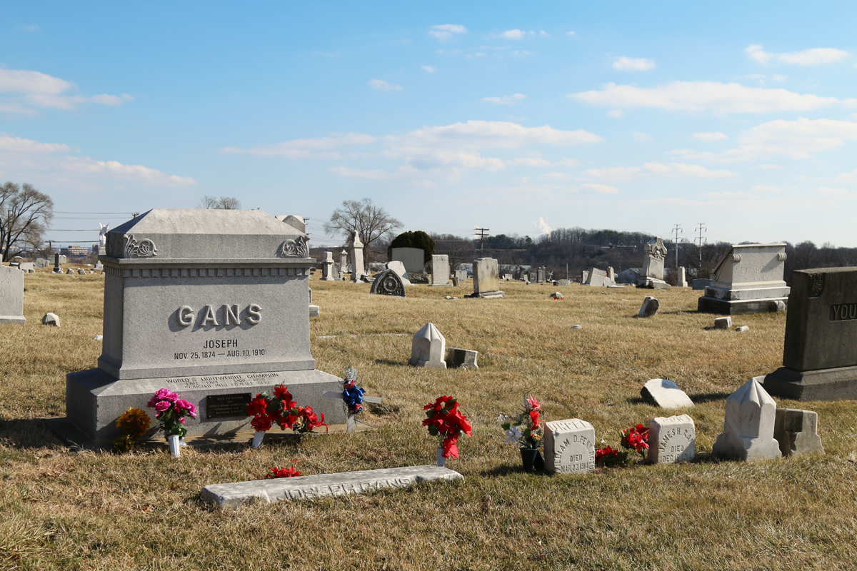 Gans.jpg