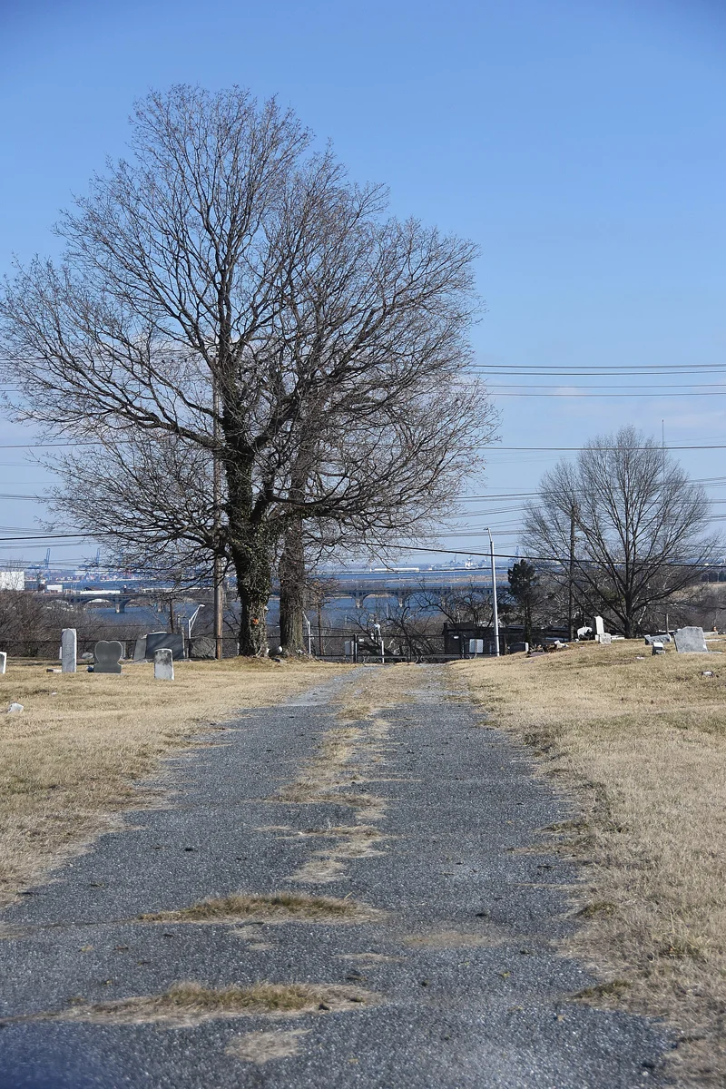 path.jpg