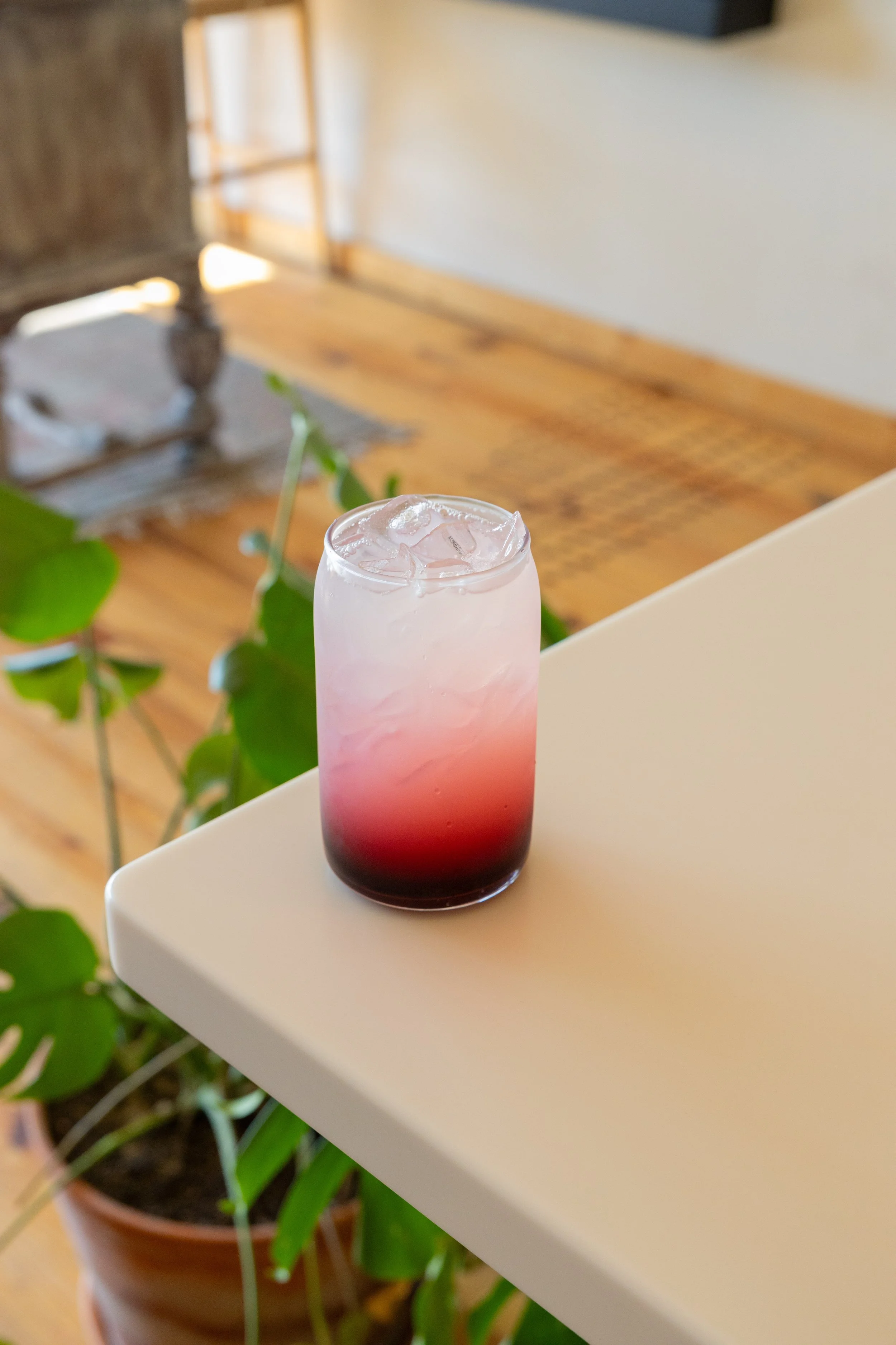 stefari wa - blueberry lemonade-3.jpg