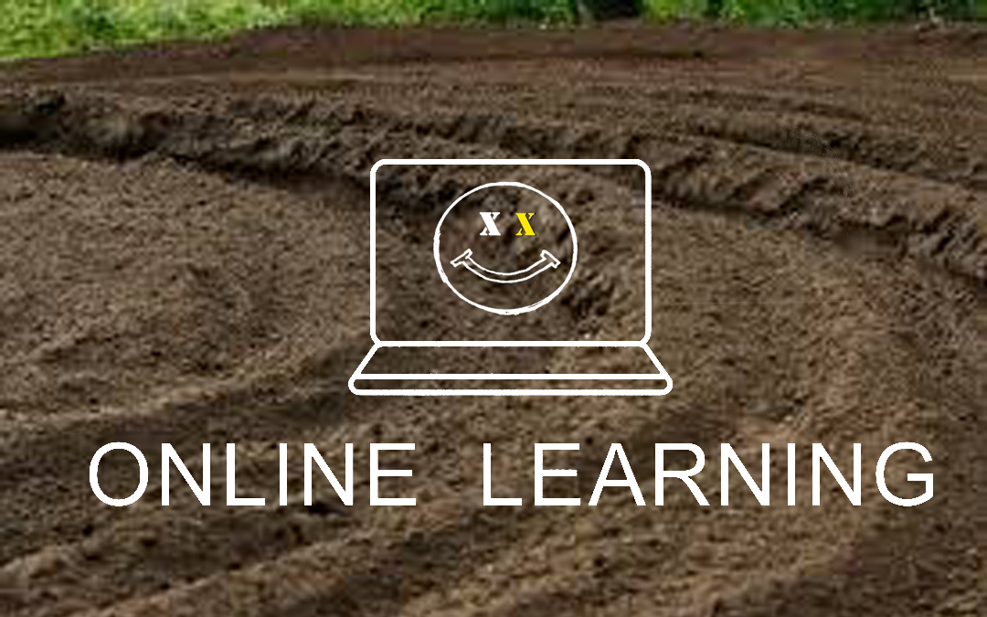 Virtual MX Consulting Session