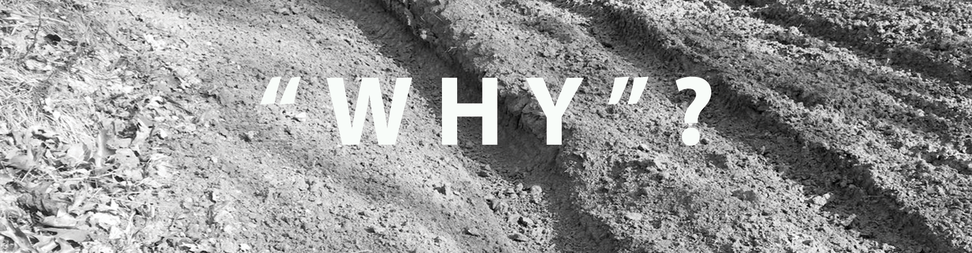 Do you know your “Why”? it's important 