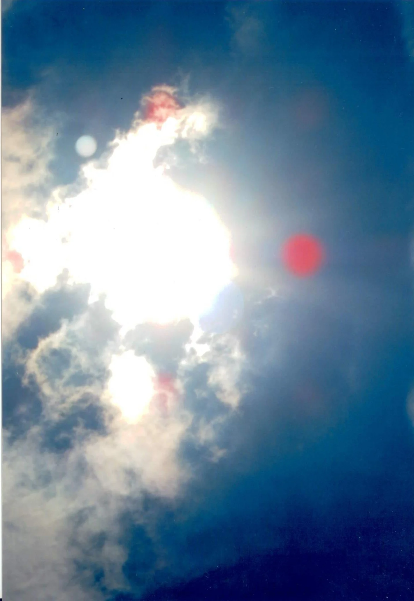 Questa foto vi dimostra i spiriti comunali che sono molti velenosi, si trovavano da tutte le parti. DIO UNIVERSALE a tolto dal mondo questo avvelenamento segreto sul mangiar, e adesso sarete meglio con la salute.