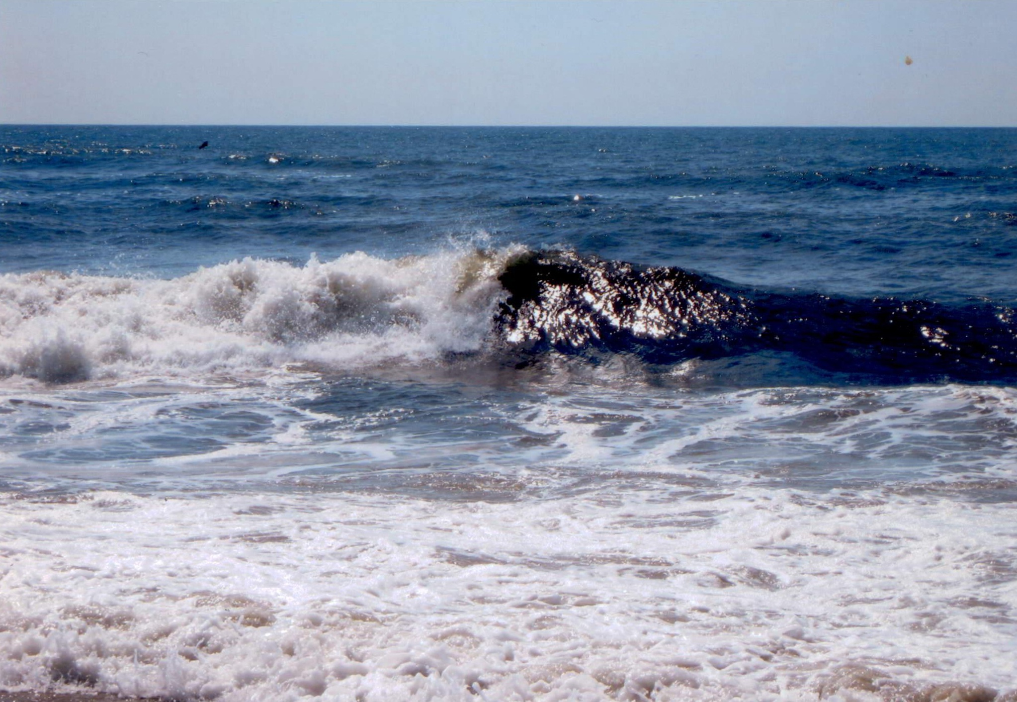 Qui in questa foto si vede una anima posseduta dal demonio e l'anima chiede per aiuta a pregare per salvare le anime che stanno possedete al fondo del mare. Oh DIO UNIVERSALE, grande e potente, salva tutte le anime chi hanno fede in te e sono al fondo del mare. Loro aspettando il tuo miracolo di salvezza a tutti chi è vittima del demonio. Donaci la pace per l’eternità.