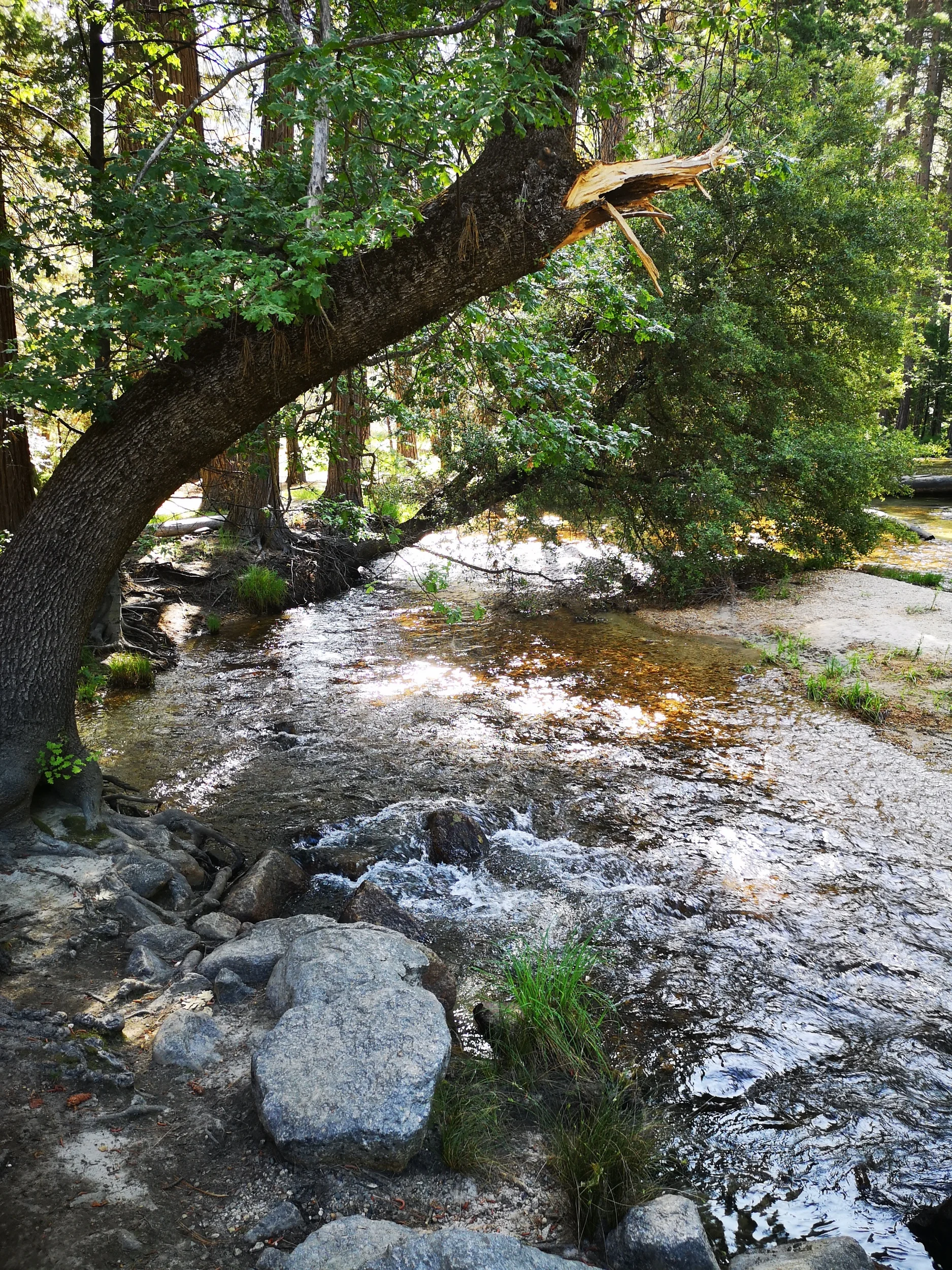 Yosemite valley is just gorgeous.