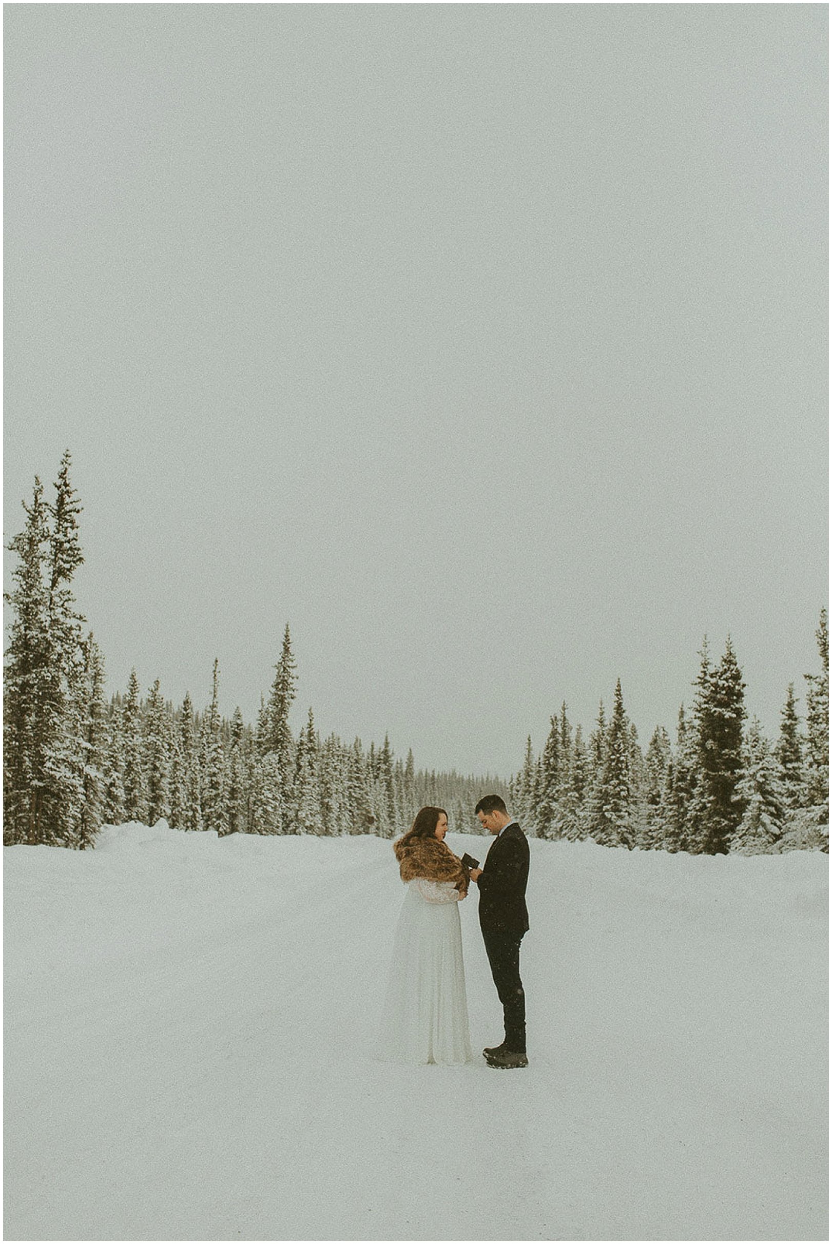 Denali elopement alaska_51.JPG