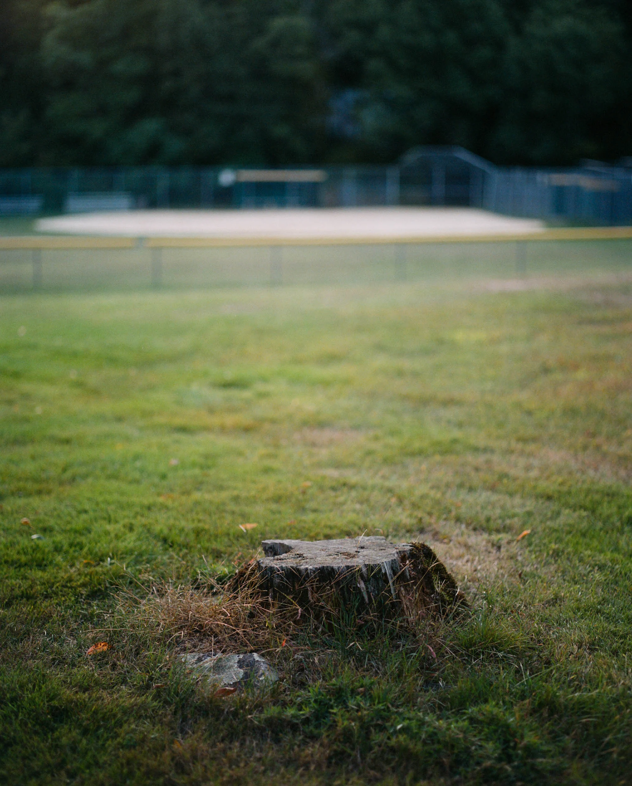 Not only did I live just steps away from the town's library, but I also was fortunate to have the town's baseball field as my backyard. For many summer nights growing up my brother and I would take turns sitting on this tree stump with perfect seats to watch the local youth baseball and softball teams play until the sun went down. If we were lucky we'd get to catch the occasional home run...
