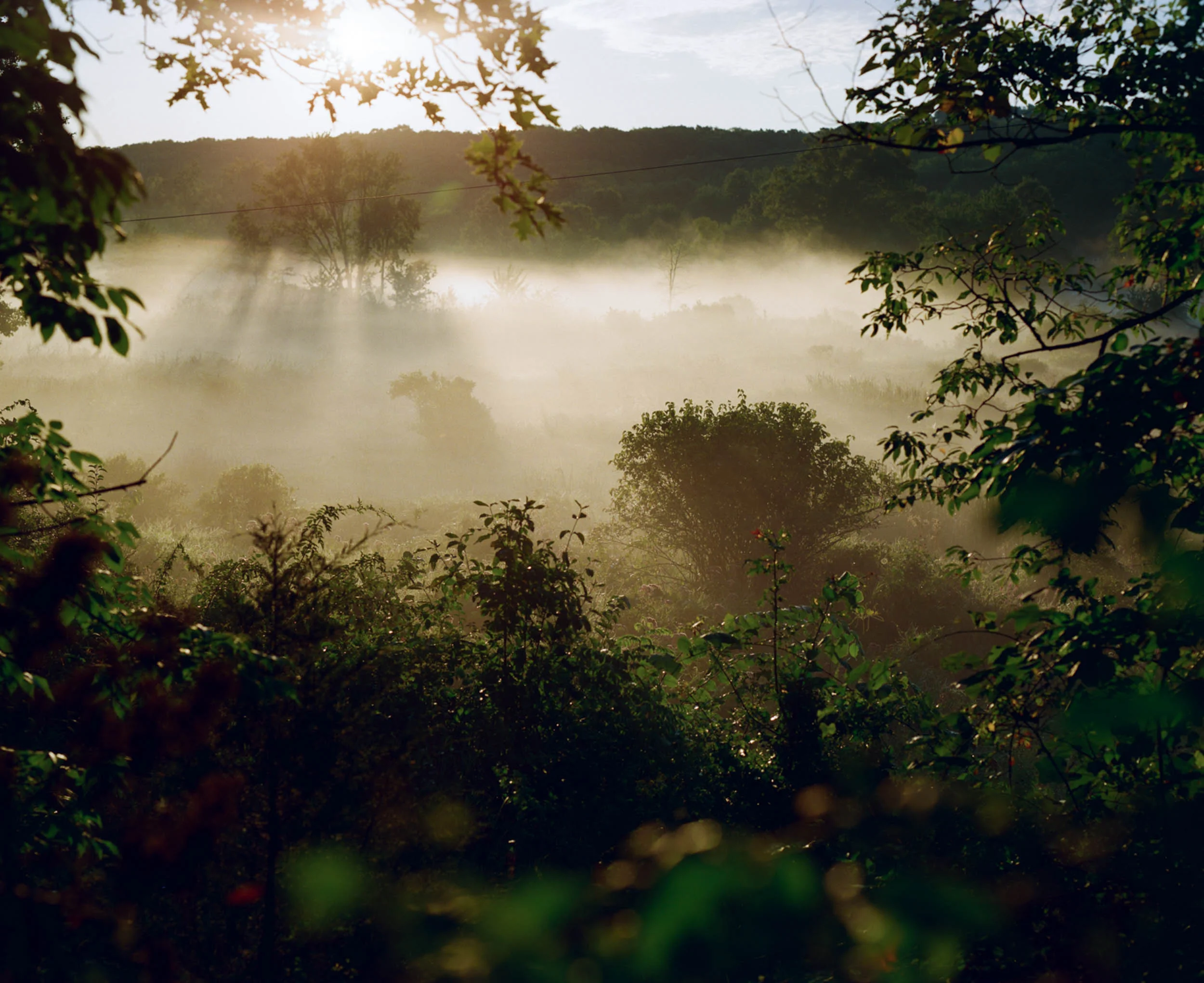 This is the local marsh near my child hood house. I was incredibly lucky on this particular morning to catch a low hanging fog at sunrise.