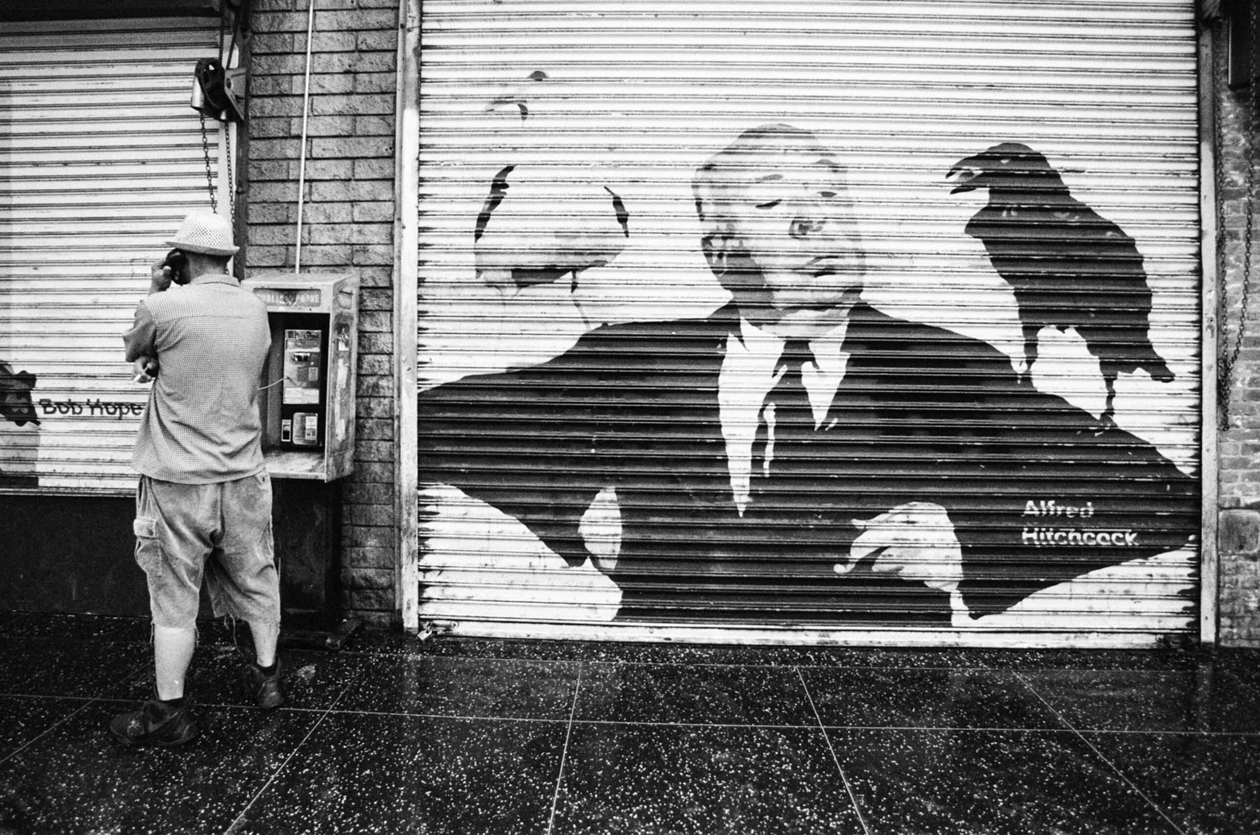 I live very close to the touristy part of Hollywood, which can present comical photo opportunities like these painted roll-up doors.