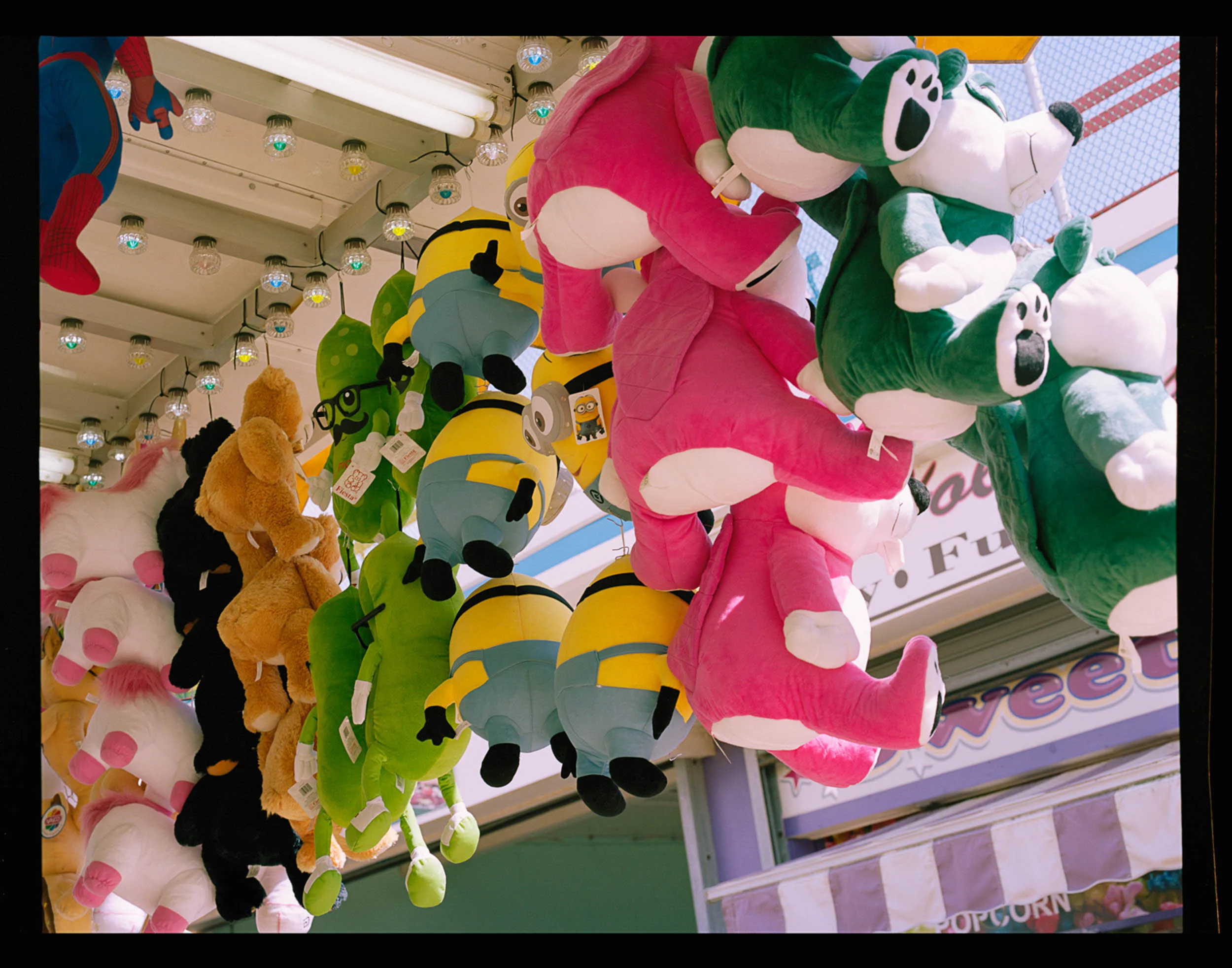 Prizes, Seaside, NJ. 2014. Mamiya RZ67. Just some of the prizes you can win at the boardwalk.