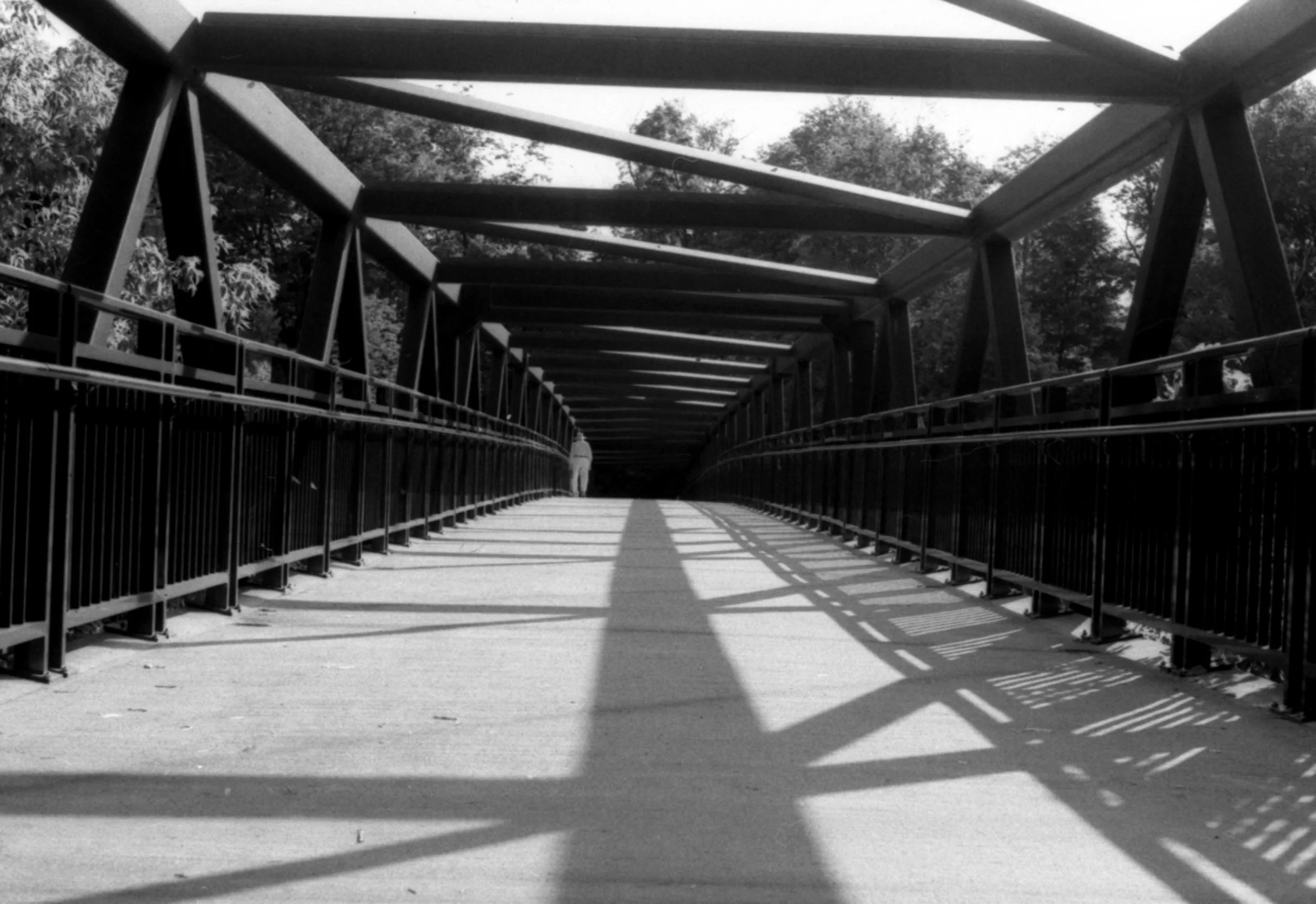 2008 “Lonely” - Springbank Park, London, On, Canada. Working on framing but forgetting to focus.