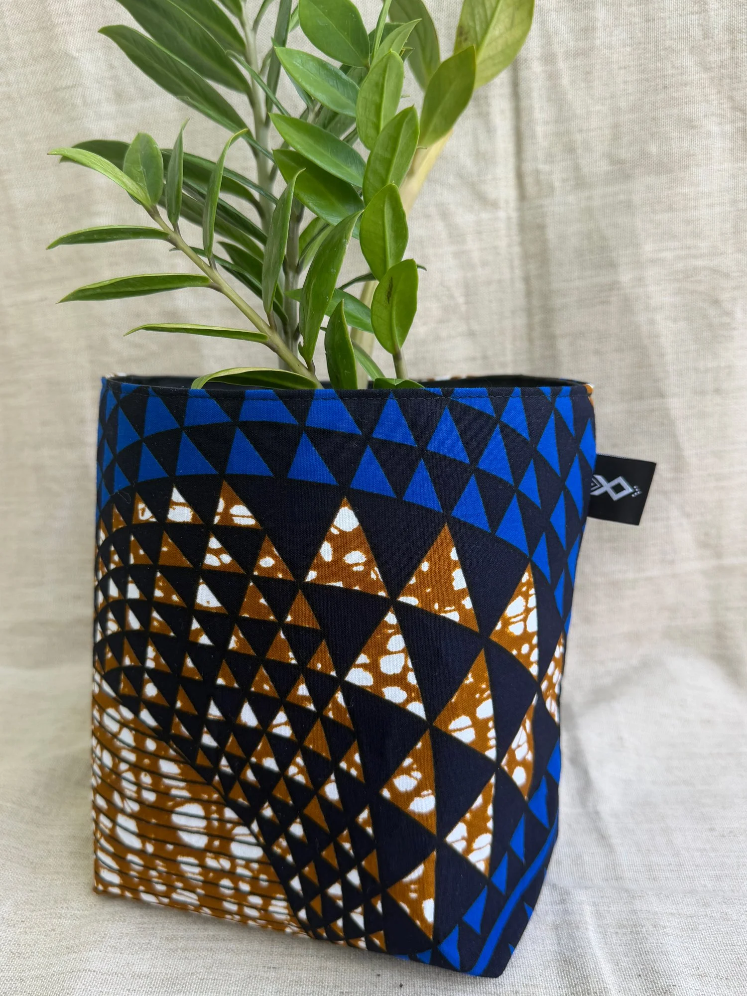 Basket-sun.jpg