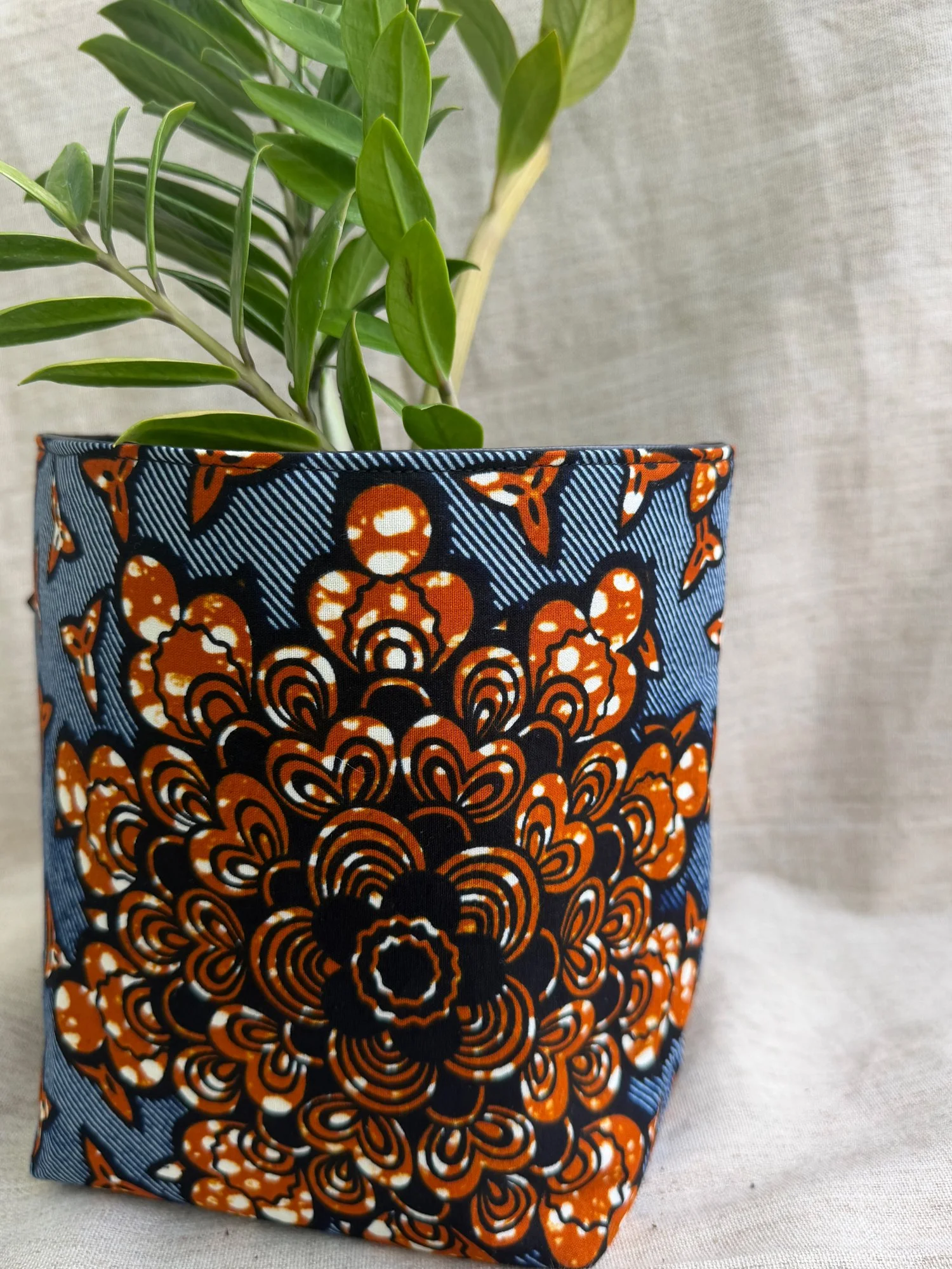 Basket-bloom.jpg