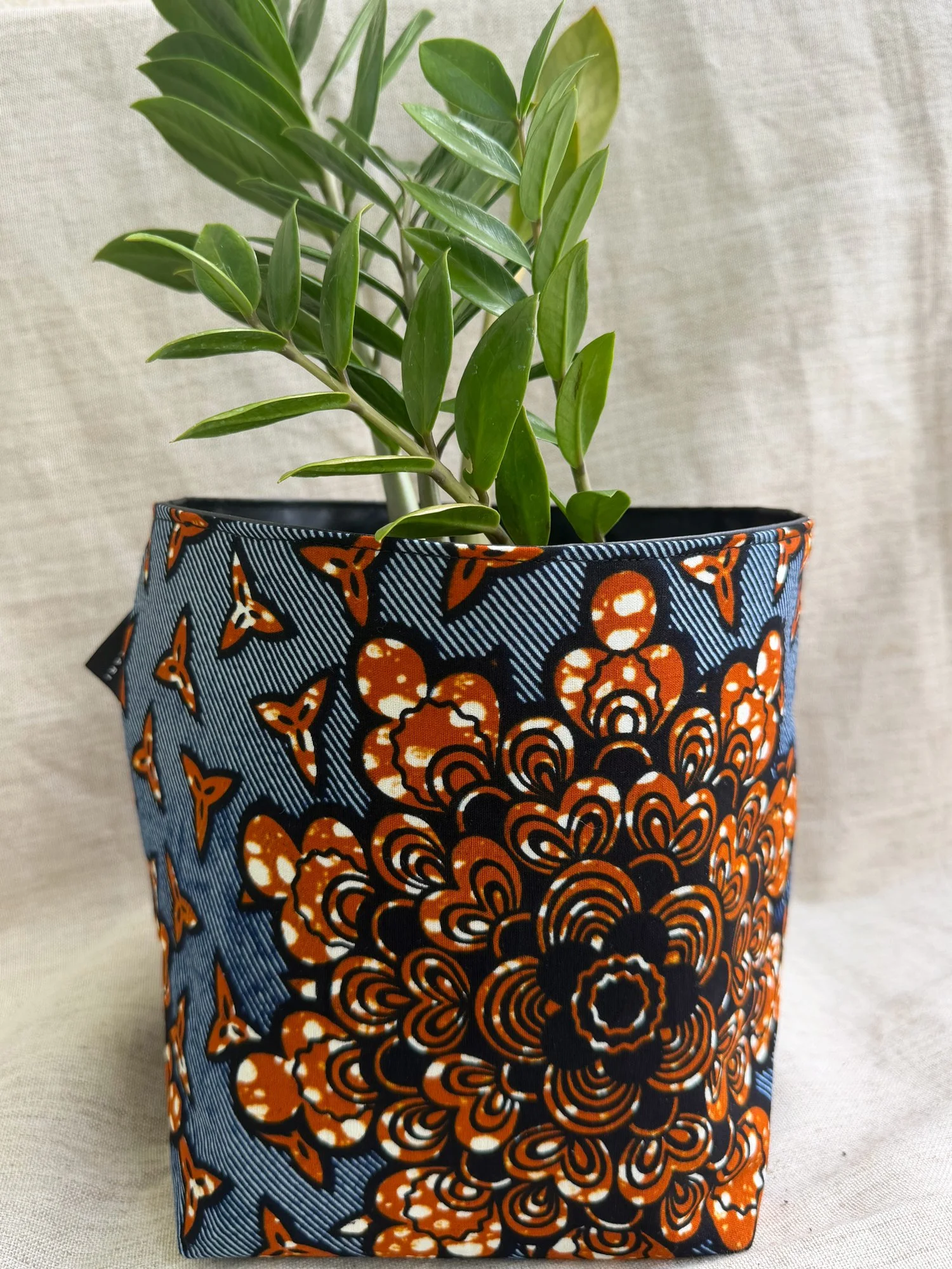 Basket-bloom1.jpg