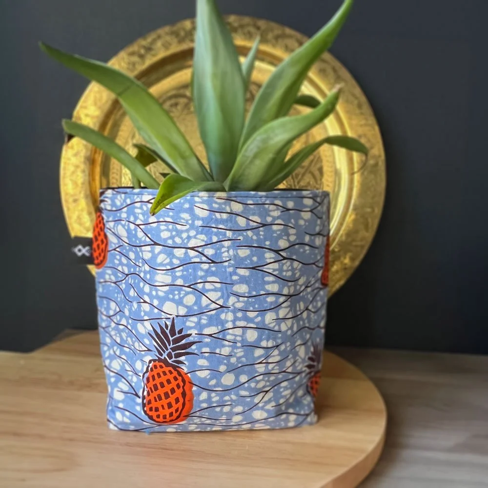 The Pineapple Basket