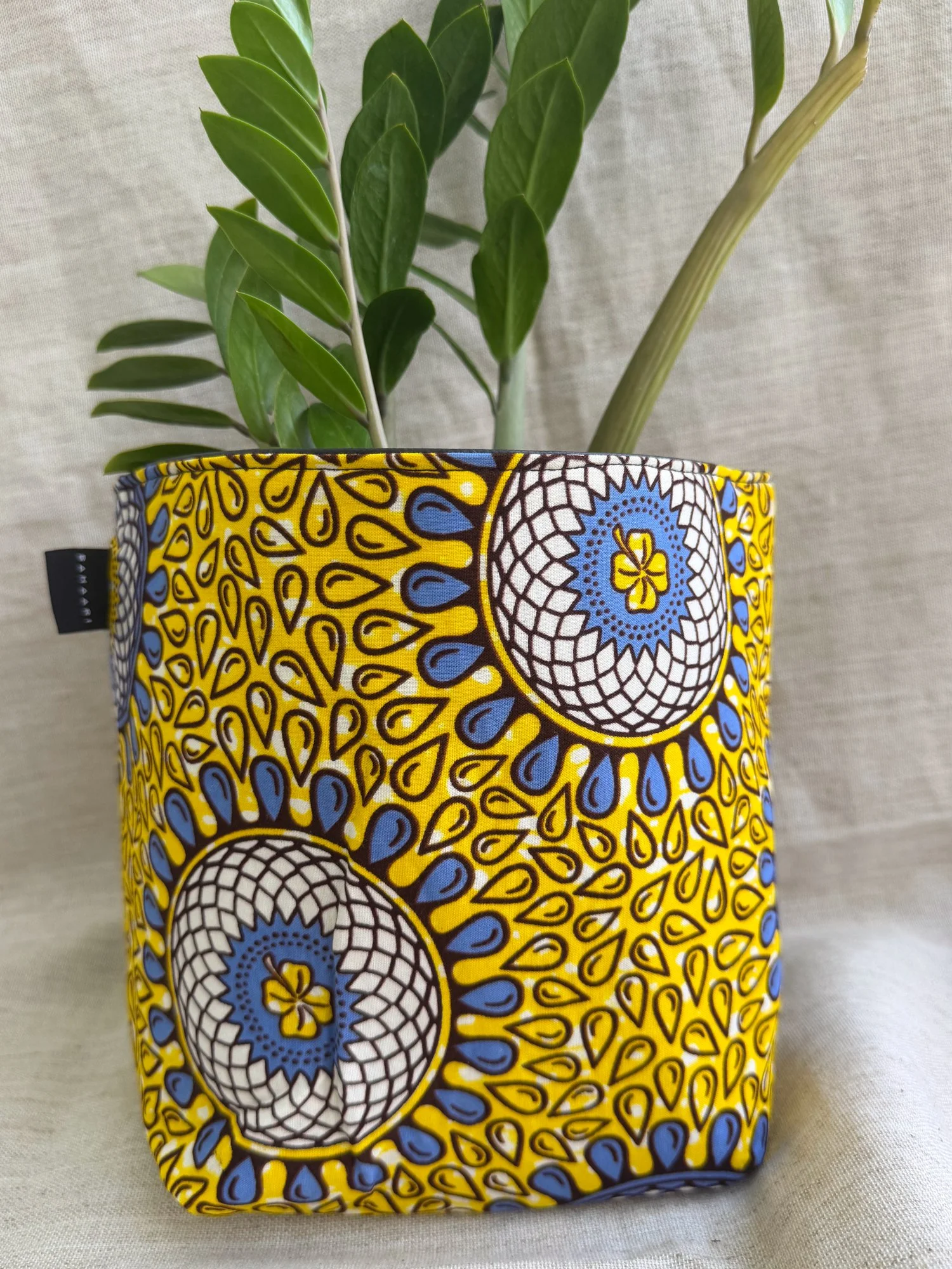 Bahaari_basket-sunny1.jpg