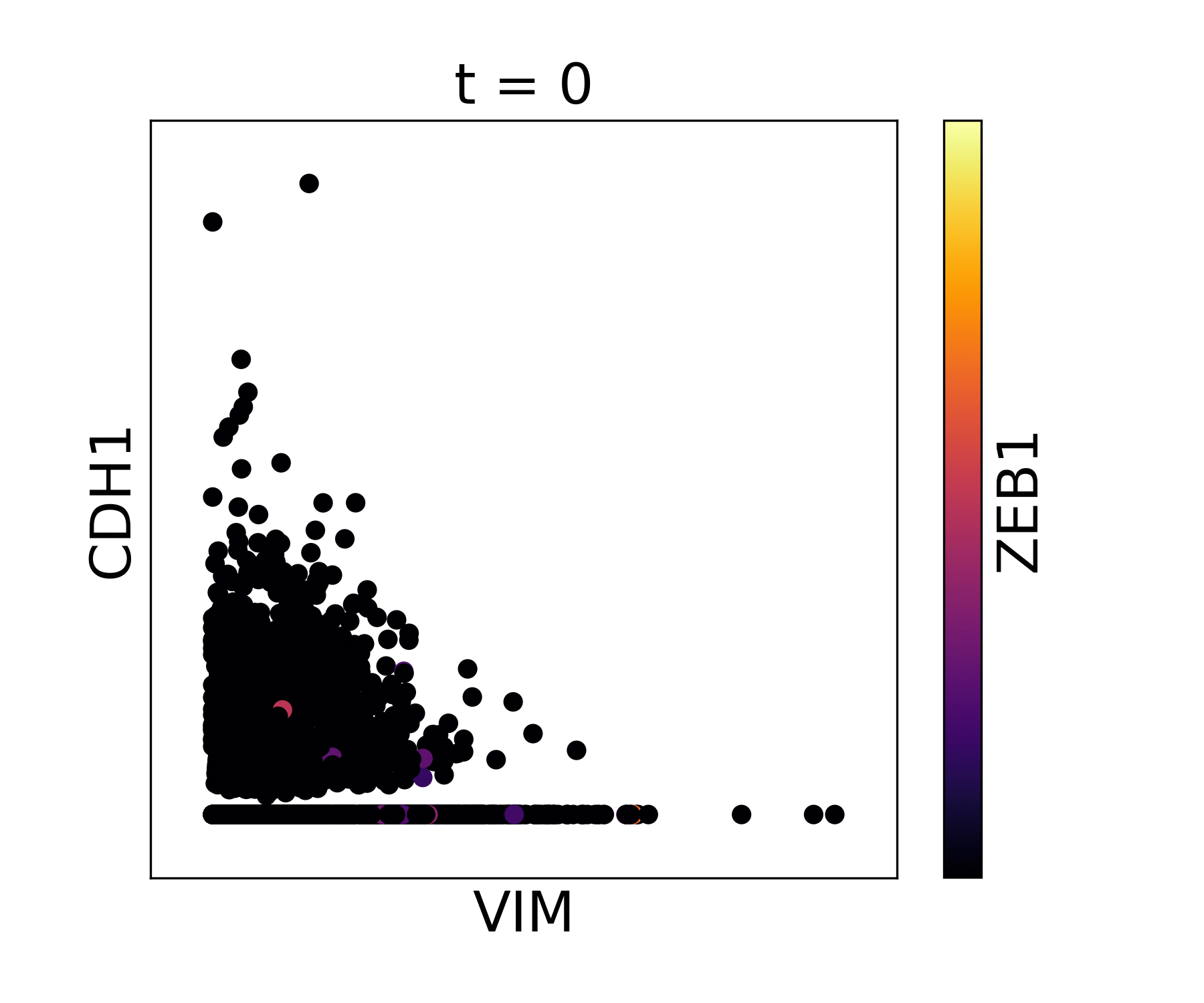 Visualization of cadherin, vimentin and zeb1 from the EMT dataset in the MAGIC paper.