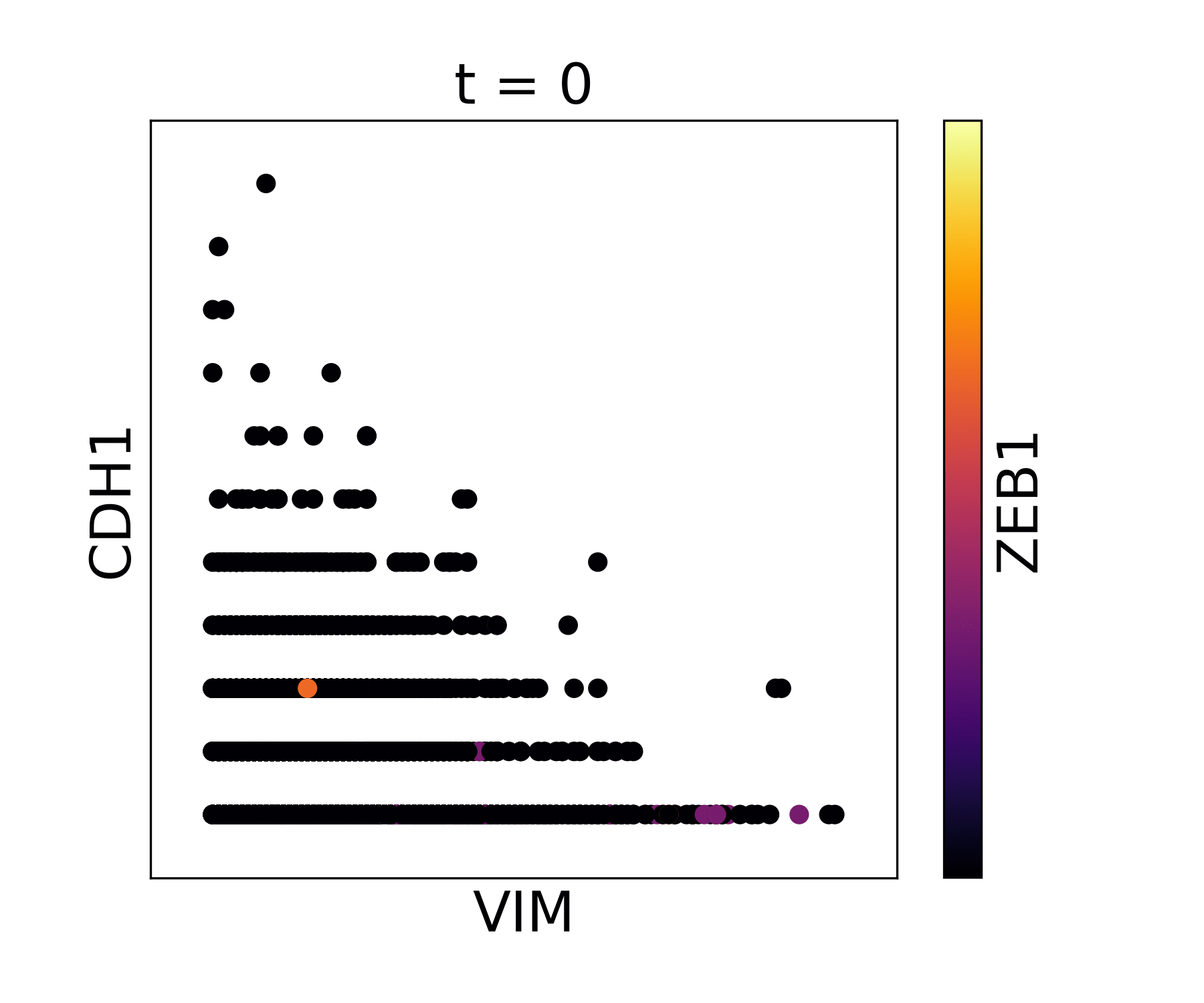 MAGIC without library size normalization.