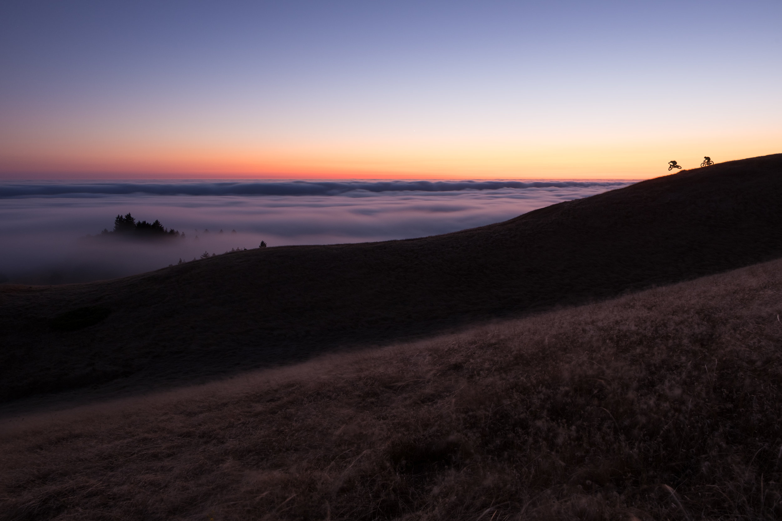DSCF3530-Edit.jpg